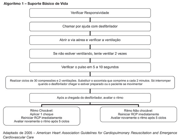 Update on cardiopulmonary resuscitation: what changed with the new guidelines
