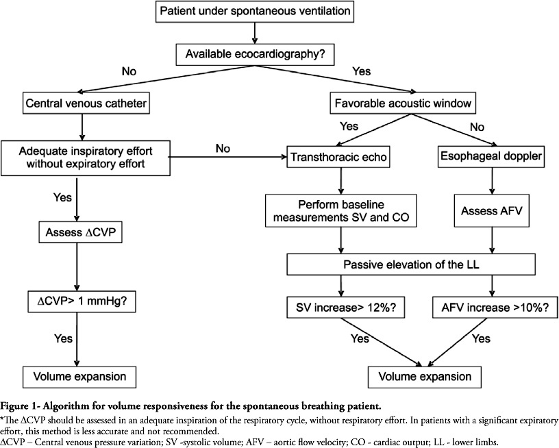 Assessment of fluid responsiveness in patients under spontaneous breathing activity