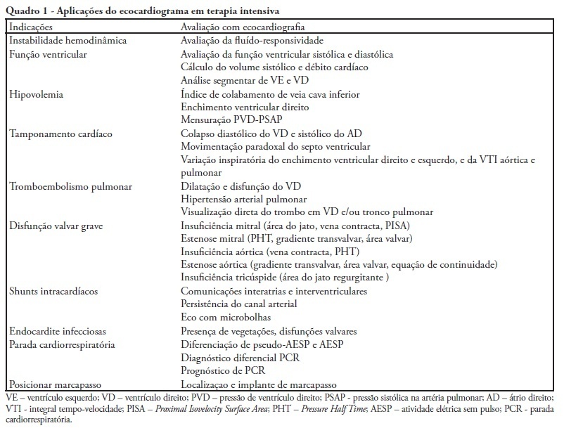 Intensive care bedside echocardiography: true or a distant dream?