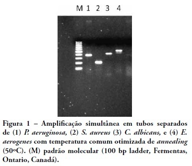 Painel molecular para detecção de microrganismos associados à sepse
