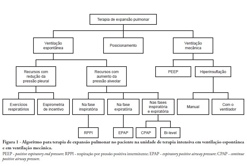 Physical therapy in critically ill adult patients: recommendations from the Brazilian Association of Intensive Care Medicine Department of Physical Therapy