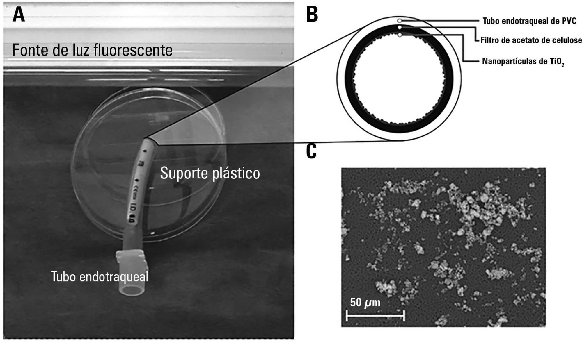 Atividade antibacteriana de tubos endotraqueais revestidos com dióxido de titânio padrão e dopados com nitrogênio: um estudo in vitro