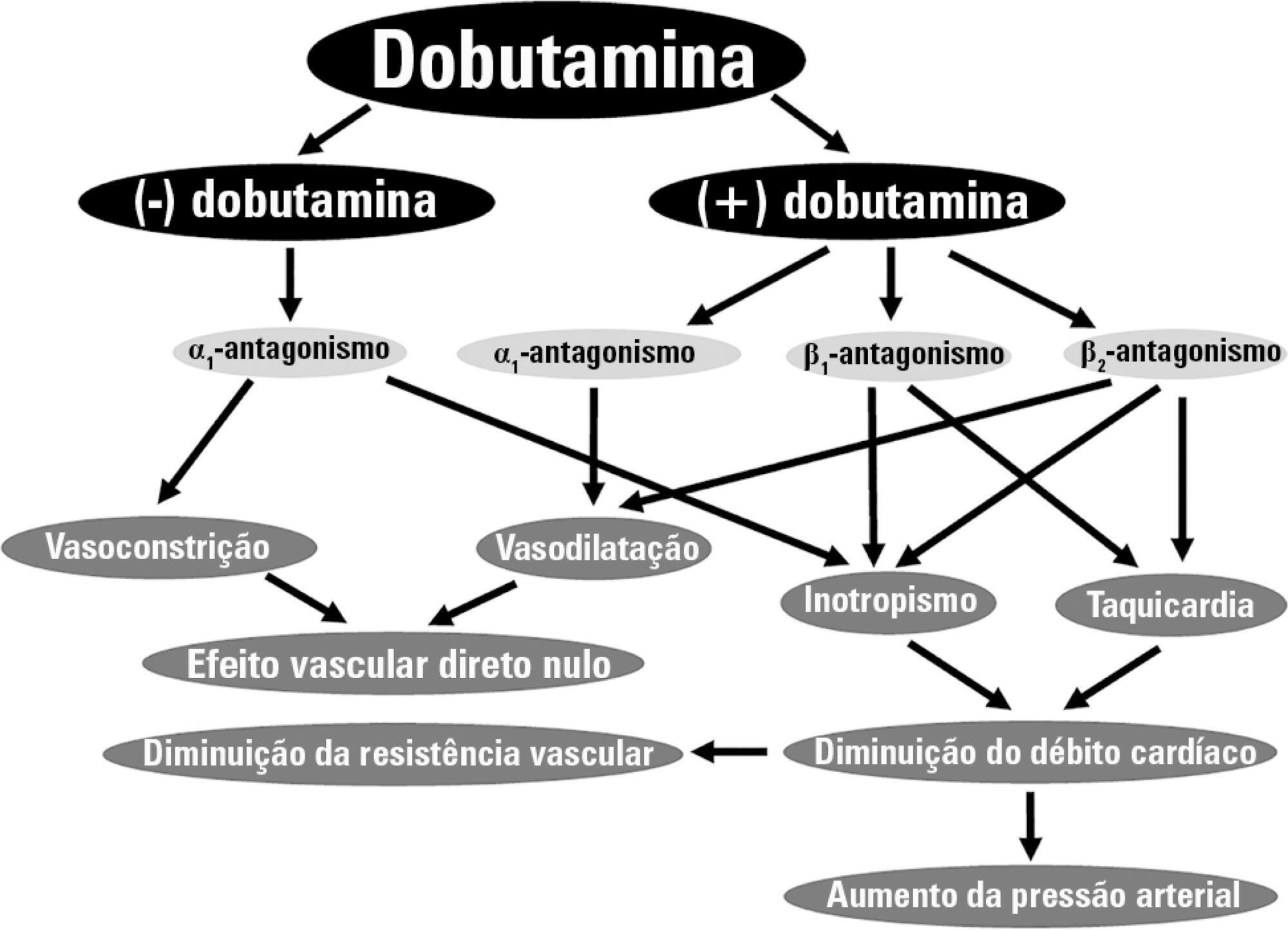 The spectrum of cardiovascular effects of dobutamine – from healthy subjects to septic shock patients