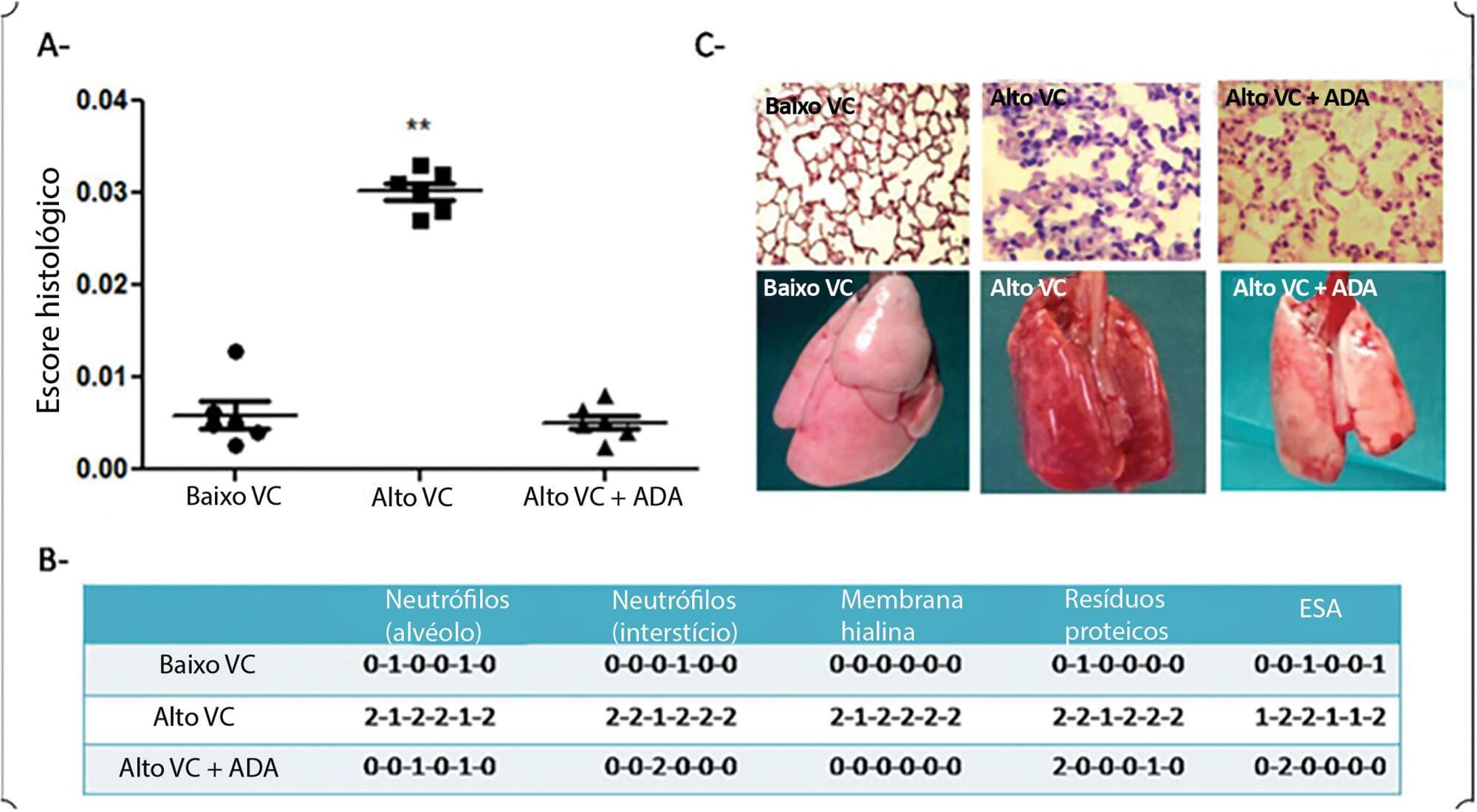 Pretreatment with adalimumab reduces ventilator-induced lung injury in an experimental model
