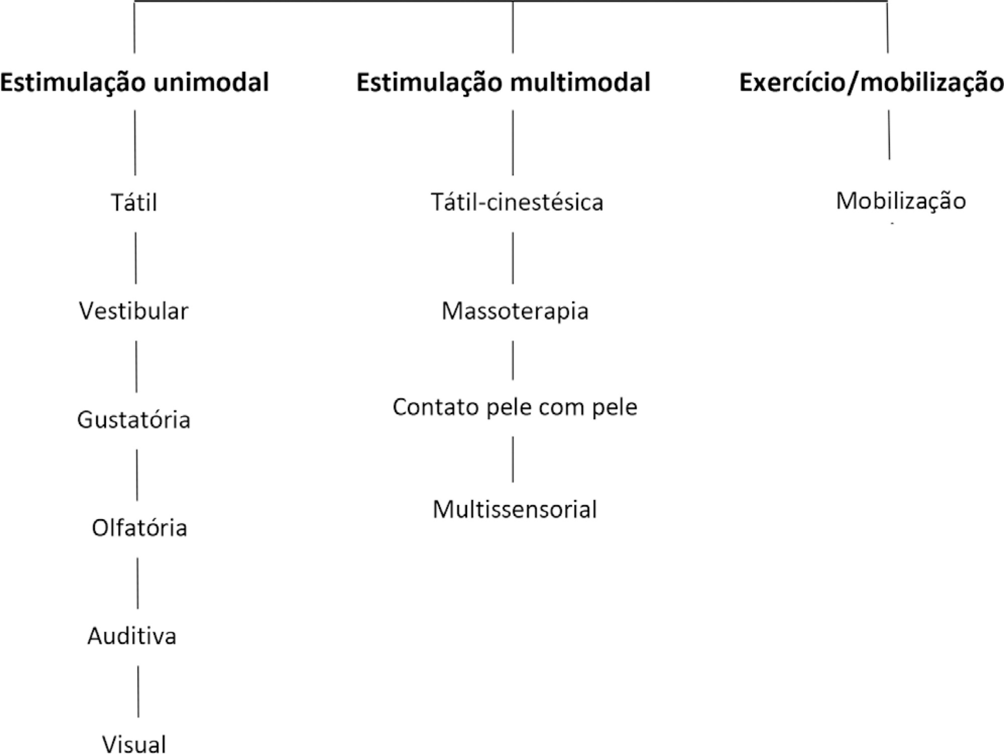 First Brazilian recommendation on physiotherapy with sensory motor stimulation in newborns and infants in the intensive care unit