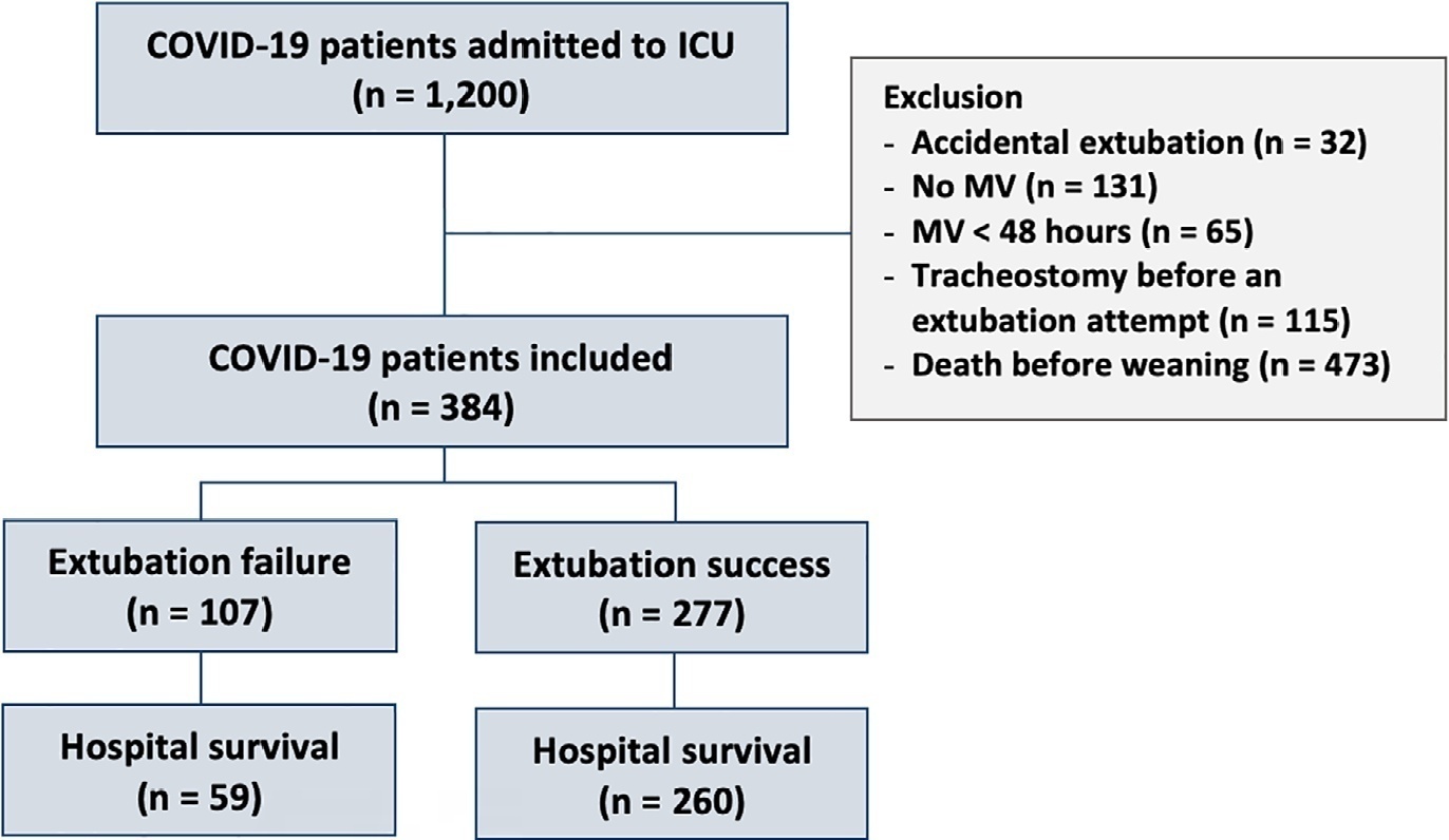 Extubation failure and the use of noninvasive ventilation during the weaning process in critically ill COVID-19 patients