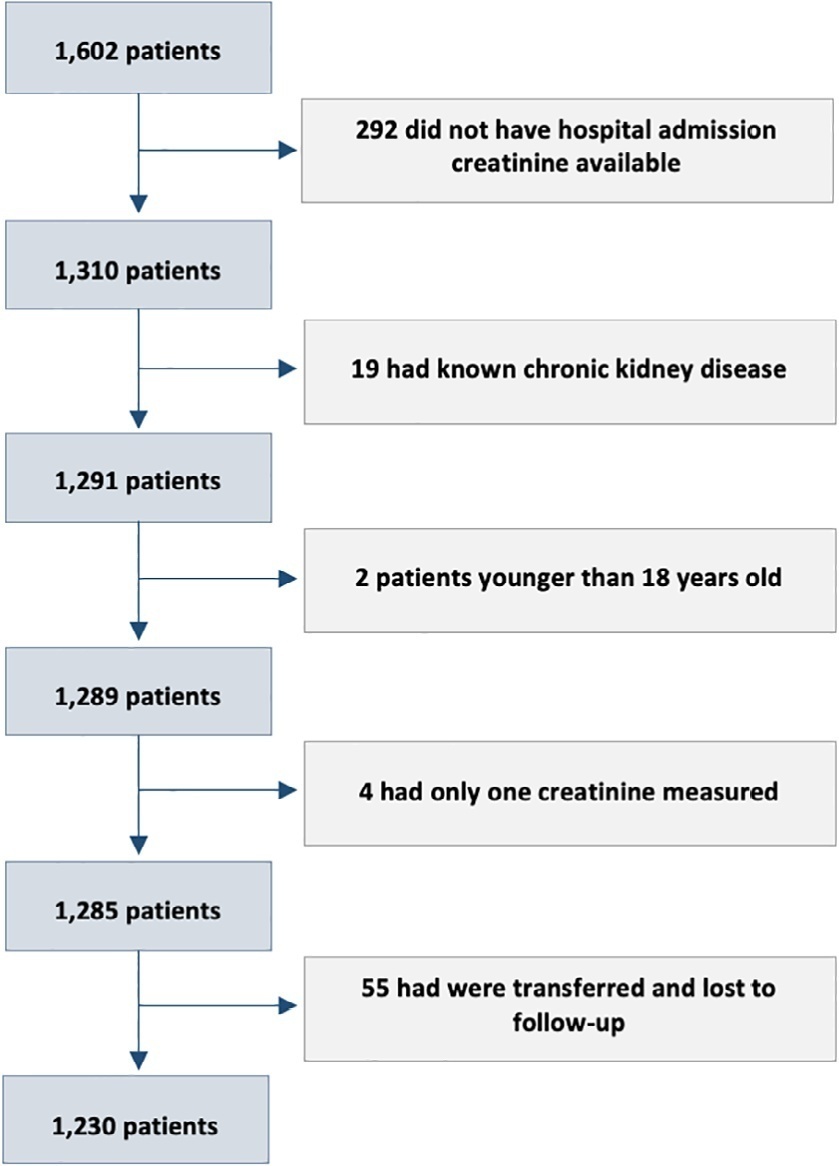 Acute kidney injury in hospitalized patients with COVID-19: a retrospective cohort